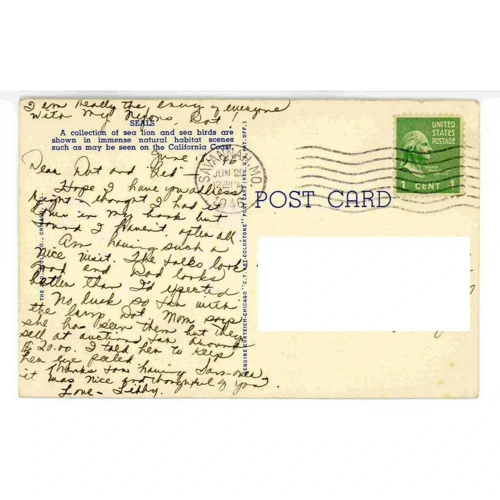 Vintage Postcard Chicago Zoological Park Seals‎ Zoo Illinois Travel USA Curteich